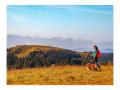 Holiday homeGermany - Black Forest: 236081