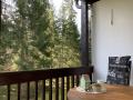 Holiday homeGermany - Black Forest: 235478