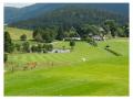 Holiday homeGermany - Black Forest: 253666