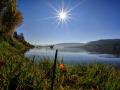 Holiday homeGermany - Black Forest: 296592