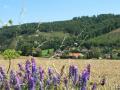 Holiday homeGermany - Weserbergland: 15822