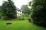 Holiday homeGermany - : Fewo 2 Sachsen-Anhalt 3 Personen  [5] 