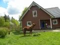 Holiday homeGermany - Eifel: 423070