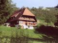 Holiday homeGermany - Black Forest: 124210