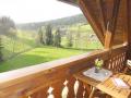 Holiday homeGermany - Black Forest: 124210