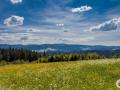 Holiday homeGermany - Black Forest: 92277