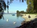 Holiday homeGermany - Bodensee: 108355