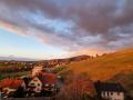 Holiday homeGermany - Black Forest: 447584