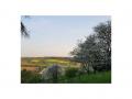 Holiday homeGermany - Eifel: 64018