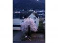 Holiday homeGermany - : 428033