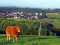 Holiday homeGermany - : 113077  [14] 