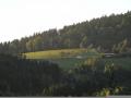 Holiday homeGermany - : 426891