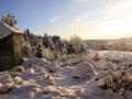 FerienhausDeutschland - Harz: 295737