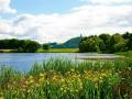 VakantiehuisDuitsland - Eifel: 193612