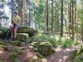 Holiday homeGermany - Black Forest: 301127