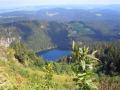 Holiday homeGermany - Black Forest: 3383