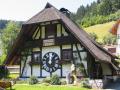 Holiday homeGermany - Black Forest: 3383