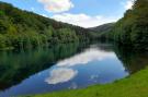 FerienhausDeutschland - Sauerland: Ferienwohnung am Wald