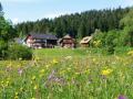 Holiday homeGermany - Black Forest: 71142