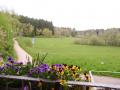 Holiday homeGermany - Black Forest: 71142