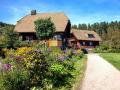 Holiday homeGermany - Black Forest: 71142