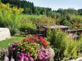 Holiday homeGermany - Black Forest: 71142