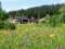 Holiday homeGermany - Black Forest: 71142  [2] 