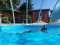 Holiday homeGermany - : 283621  [1] 