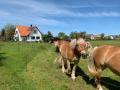 VakantiehuisDuitsland - : 296681