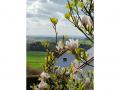 Holiday homeGermany - : 490747