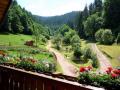 Holiday homeGermany - Black Forest: 229230