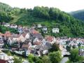 Holiday homeGermany - Black Forest: 229230