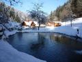 Holiday homeGermany - Black Forest: 229230