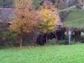 Holiday homeGermany - Black Forest: 13614