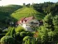 Holiday homeGermany - Black Forest: 283015