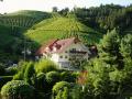 Holiday homeGermany - Black Forest: 283015