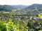 Holiday homeGermany - Black Forest: 283015  [26] 