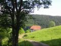 Holiday homeGermany - Black Forest: 142076