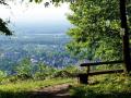 Holiday homeGermany - Black Forest: 494798