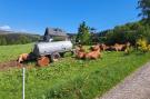 FerienhausDeutschland - Sauerland: Mark