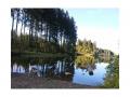 Holiday homeGermany - Harz: 253402