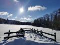 FerienhausDeutschland - Harz: 253402