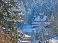 FerienhausDeutschland - Harz: 427340