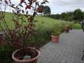 Holiday homeGermany - Sauerland: 273603