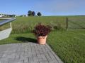 Holiday homeGermany - Sauerland: 273603