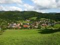 Holiday homeGermany - Black Forest: 13987