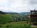 Holiday homeGermany - Black Forest: 59944