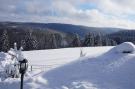 VakantiehuisDuitsland - : Am Thüringer Rennsteig