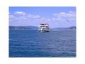 Holiday homeGermany - Bodensee: 274863