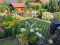 Holiday homeGermany - : 490316  [12] 